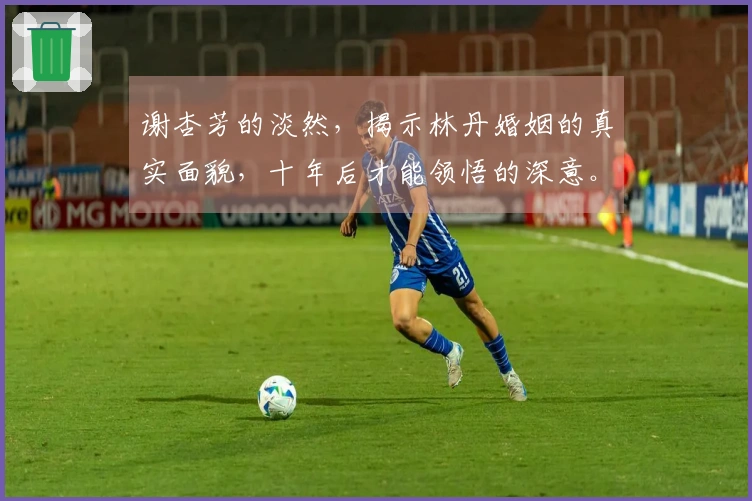 谢杏芳的淡然，揭示林丹婚姻的真实面貌，十年后才能领悟的深意。